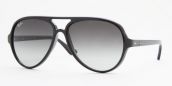 RAY-BAN CATS 5000 RB 4125 601/32