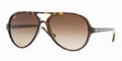RAY-BAN CATS 5000 RB 4125 710/51