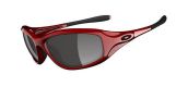 OAKLEY ENCOUNTER 9091-04  Metallic Red - Grey