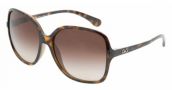 D&G SONNENBRILLE 8082 502/13